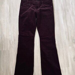 Edyson Stitchfix Chelsea Bootcut Burgundy/Purple Corduroy Pants Size 32